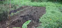 Con dos nuevos acuerdos de Pago Por Servicios Ambientales en La Leonera y Pichindé, Alcaldía sigue garantizándoles el agua a los caleños