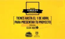 Convocatoria Estímulos 2019