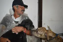 La tenencia responsable y el bienestar animal se imponen en el área de renovación urbana