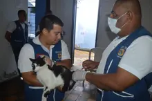 La tenencia responsable y el bienestar animal se imponen en el área de renovación urbana