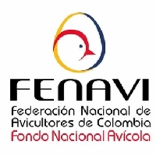 fenavi