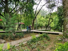 Importante inversión de la administración Armitage en parques y zonas comunes de Cali