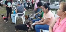 Cali cuenta con el primer parque exclusivo para mascotas