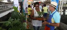 La Alcaldía de Cali le apuesta a la soberanía alimentaria con la estrategia Plazas vivas