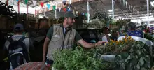 Cali inició la Semana Santa y Natural con cero reportes de uso de palma de cera