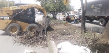 Alcaldía atiende oportunamente la recolección de residuos generados en las emergencias invernales 