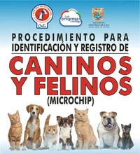 zoonosis