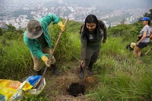 Secretaría del Deporte y la Recreación se unió a la celebración del Día del Árbol