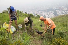 Secretaría del Deporte y la Recreación se unió a la celebración del Día del Árbol