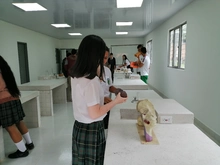 Institución Educativa Golondrinas estrena laboratorio de química