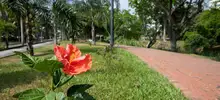 Secretaría de Infraestructura comprometida con la terminación y entrega del parque lineal Río Cali