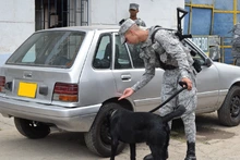 Aumentan patrullajes de la Fuerza Aérea en las calles de Cali 
