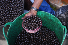 Naidí: el “súper fruto” que debes probar en Timbiquí