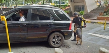 Perros antiexplosivos forman parte del equipo de seguridad del CAM