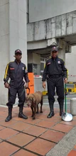 Perros antiexplosivos forman parte del equipo de seguridad del CAM