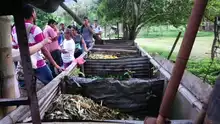 Más apoyo para el cuidado del ambiente en comunas y corregimientos de Cali