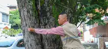 Con la Visitatón, el Dagma cumplió con más de 30 mil solicitudes de tala y poda de árboles en Cali