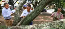 Con la Visitatón, el Dagma cumplió con más de 30 mil solicitudes de tala y poda de árboles en Cali