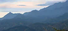Consejo de Gobierno en Cristo Rey