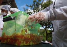 Un total de 500 niños participaron de la primera Tienda Escolar Saludable en el corregimiento El Saladito. 