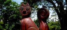 Gato del rio 3