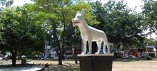 Parque del perro