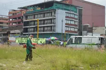 Limpieza, poda y recuperación del área de renovación urbana: unión de esfuerzos de Emru, Uaespm y Ciudad Limpia