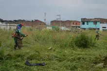Limpieza, poda y recuperación del área de renovación urbana: unión de esfuerzos de Emru, Uaespm y Ciudad Limpia
