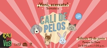 Cali de pelos: jornada gratuita para animales de compañía en el Parque La Flora 