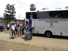 Este sábado, Cali estará de pelos con la jornada de salud animal en el Parque La Flora