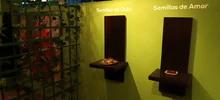 El sótano de antigua Estación del Ferrocarril se llena de vida y arte con la llegada del Museo MULI