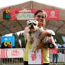 Más de 800 mascotas recibieron atención en feria de servicios ofrecida por la Alcaldía de Cali