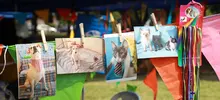 Gatos y perros del área de renovación urbana ahora tienen un nuevo hogar gracias a la jornada ‘Cali de Pelos’ 