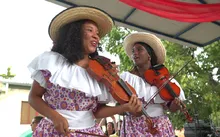 El violín caucano: el instrumento que aprendieron a tocar a oído nuestros esclavos es uno de los reyes del Petronio Álvarez 2