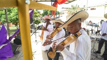 El violín caucano: el instrumento que aprendieron a tocar a oído nuestros esclavos es uno de los reyes del Petronio Álvarez 11