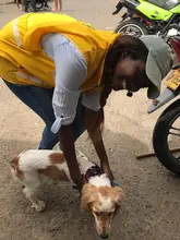 Más de 120 animales se beneficiaron con la jornada de salud animal realizada en el área de renovación urbana