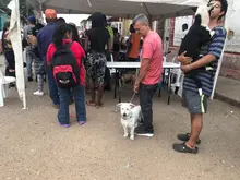 Más de 120 animales se beneficiaron con la jornada de salud animal realizada en el área de renovación urbana