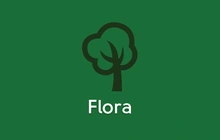 flora