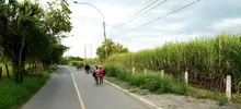 Este martes, alcalde Armitage inaugura la vía a Cascajal