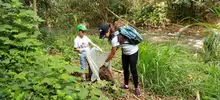 Así fue el madrugón de los caleños para limpiar el río Meléndez 