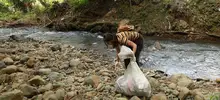 Así fue el madrugón de los caleños para limpiar el río Meléndez 
