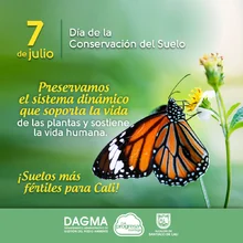 Conservación del suelo