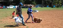 Alcaldía de Cali inició las jornadas de Reciclatón