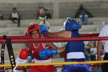 Así van las selecciones Cali en los Juegos Departamentales y Paradepartamentales