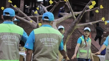 Gestores de Paz y Cultura Ciudadana