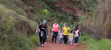 Cerro Los Cristales y Ecoparque Cristo Rey, resurgieron con el Plan Ave Fénix.