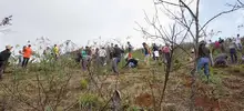 Cerro Los Cristales y Ecoparque Cristo Rey, resurgieron con el Plan Ave Fénix.