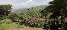 Así se combate el hambre en los corregimientos de Cali