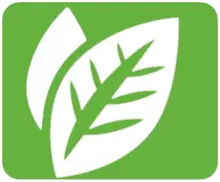 sistema ambiental-hoja