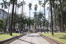 Plaza de Caycedo